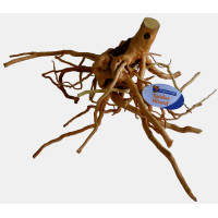 Spider Wood Large